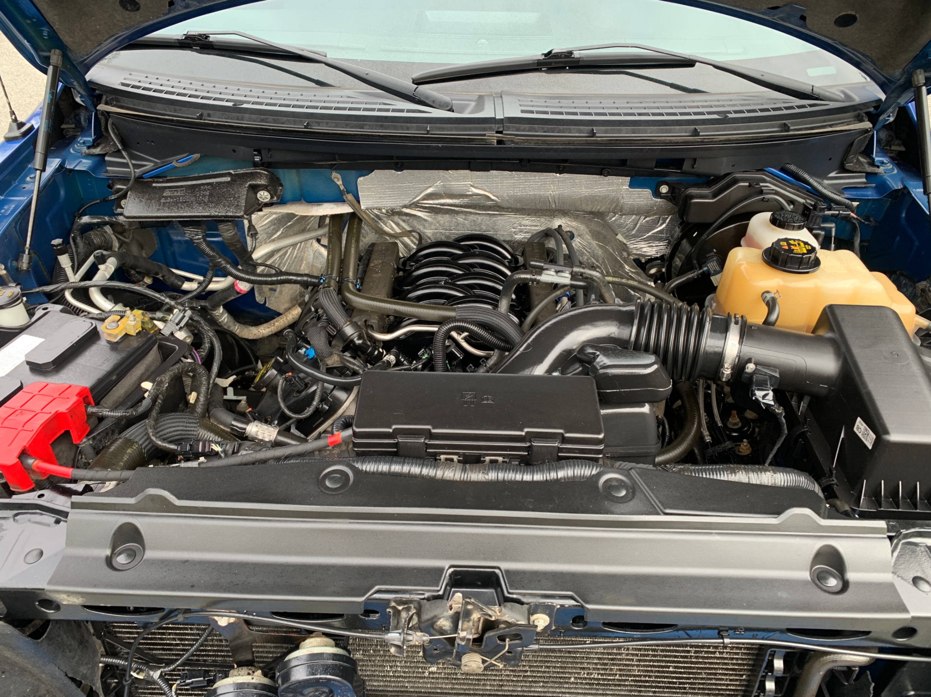 /enixmotorsportltd/2012-Ford-F-150-651736235705946.jpg
