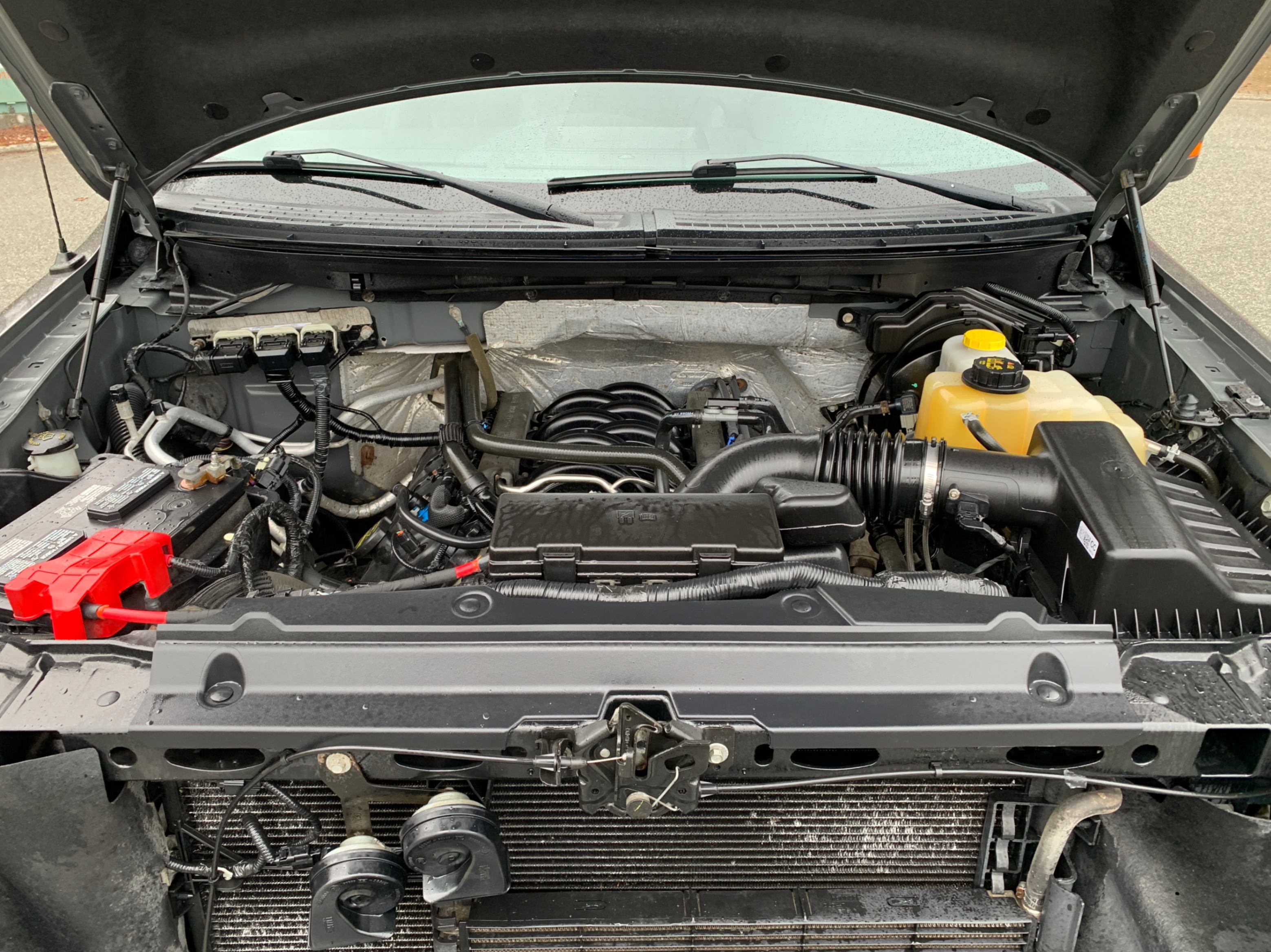 /enixmotorsportltd/2014-Ford-F-150-3001792358495743.jpg