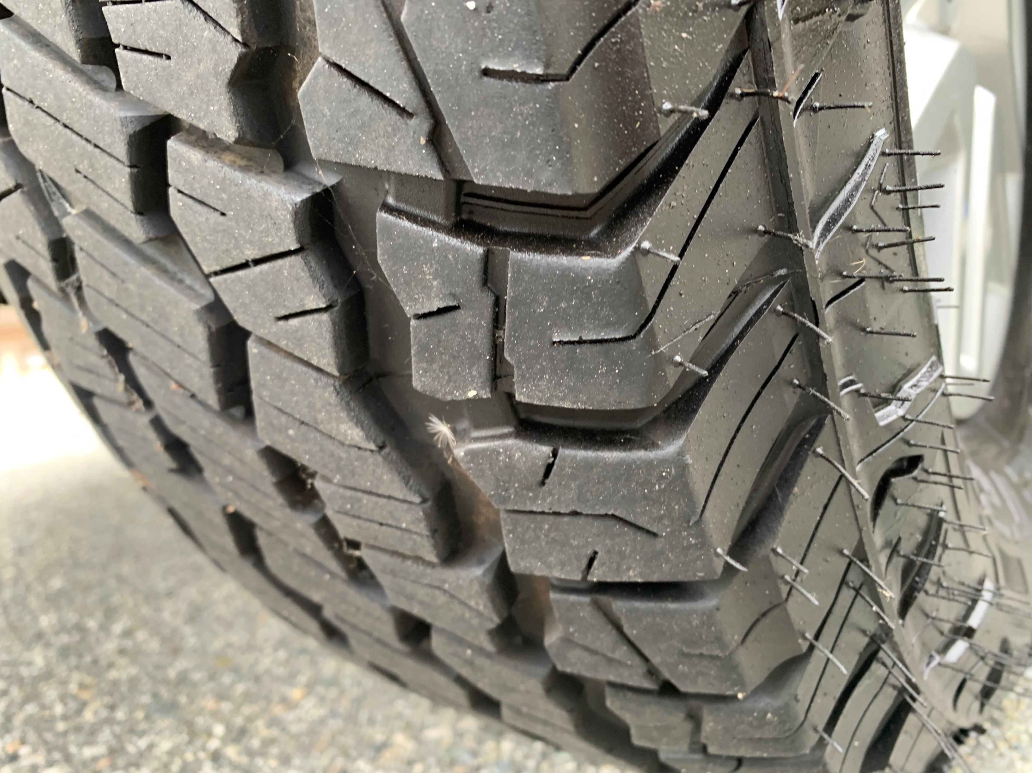 /enixmotorsportltd/2015-Nissan-Xterra-31614665777163187.jpg