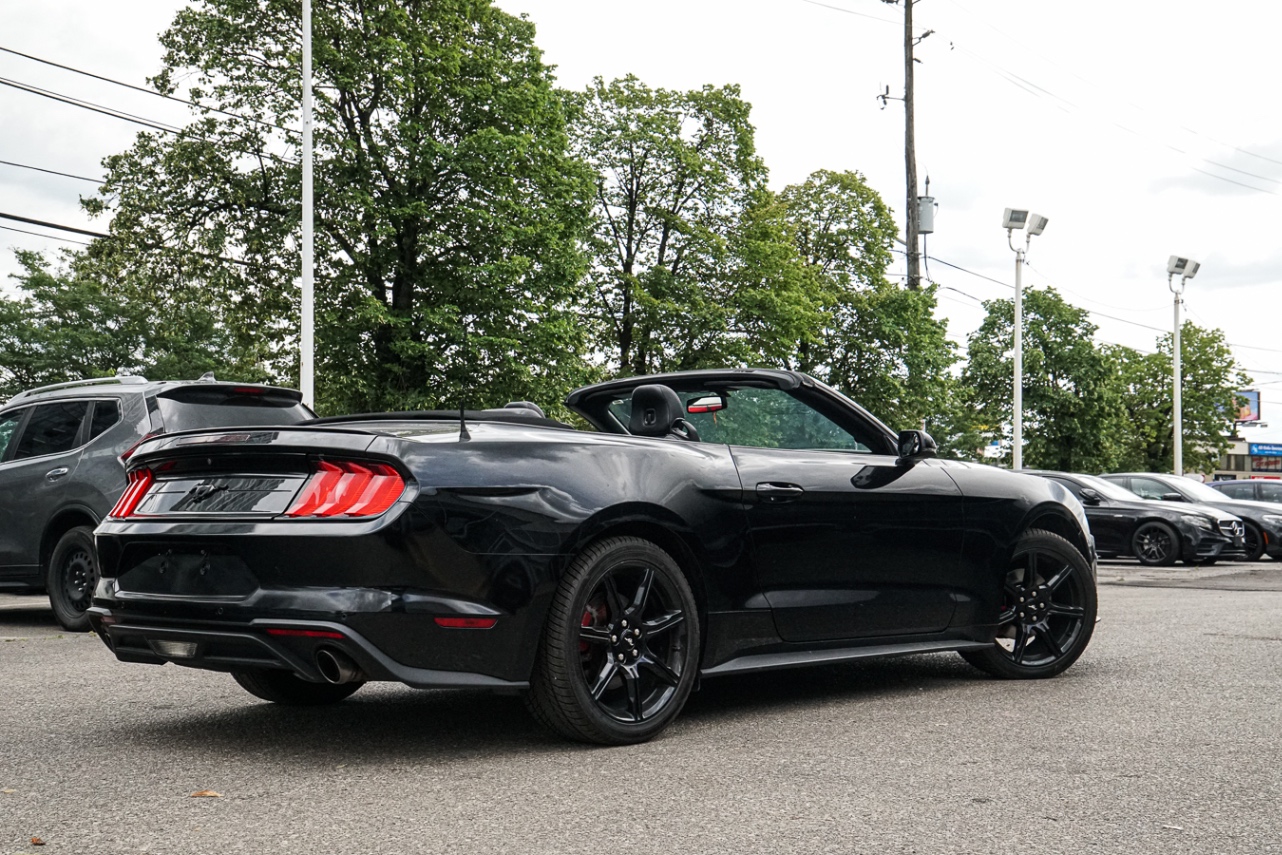 /ontarioqualitymotorsetobicoke/2019-Ford-Mustang-13375734471689338.jpg