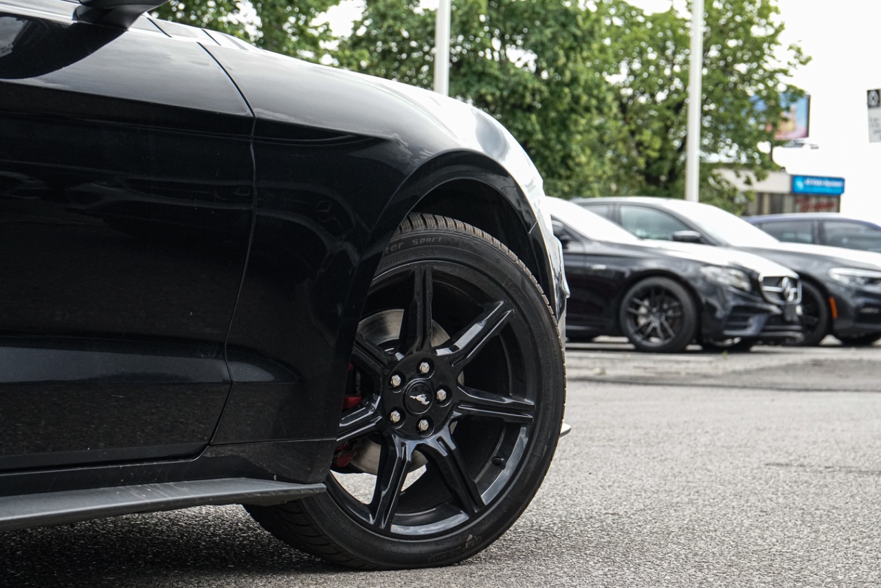 /ontarioqualitymotorsetobicoke/2019-Ford-Mustang-223227281052095.jpg