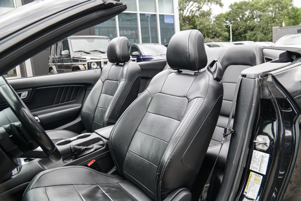 /ontarioqualitymotorsetobicoke/2019-Ford-Mustang-5951420718053404.jpg
