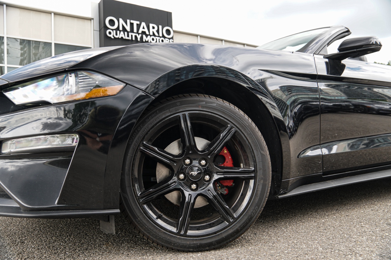 /ontarioqualitymotorsetobicoke/2019-Ford-Mustang-9391115174488838.jpg