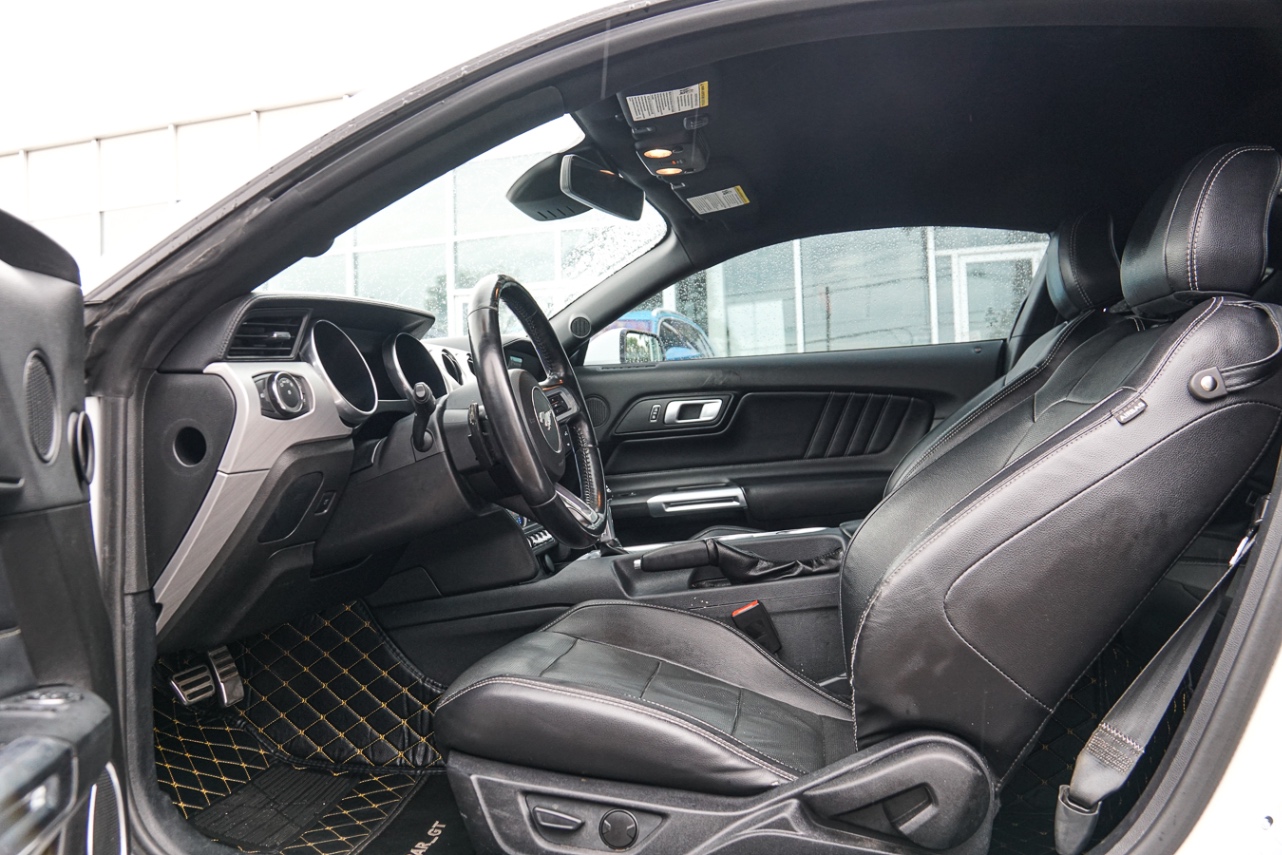 /ontarioqualitymotorsetobicoke/2021-Ford-Mustang-5226123168868253.jpg