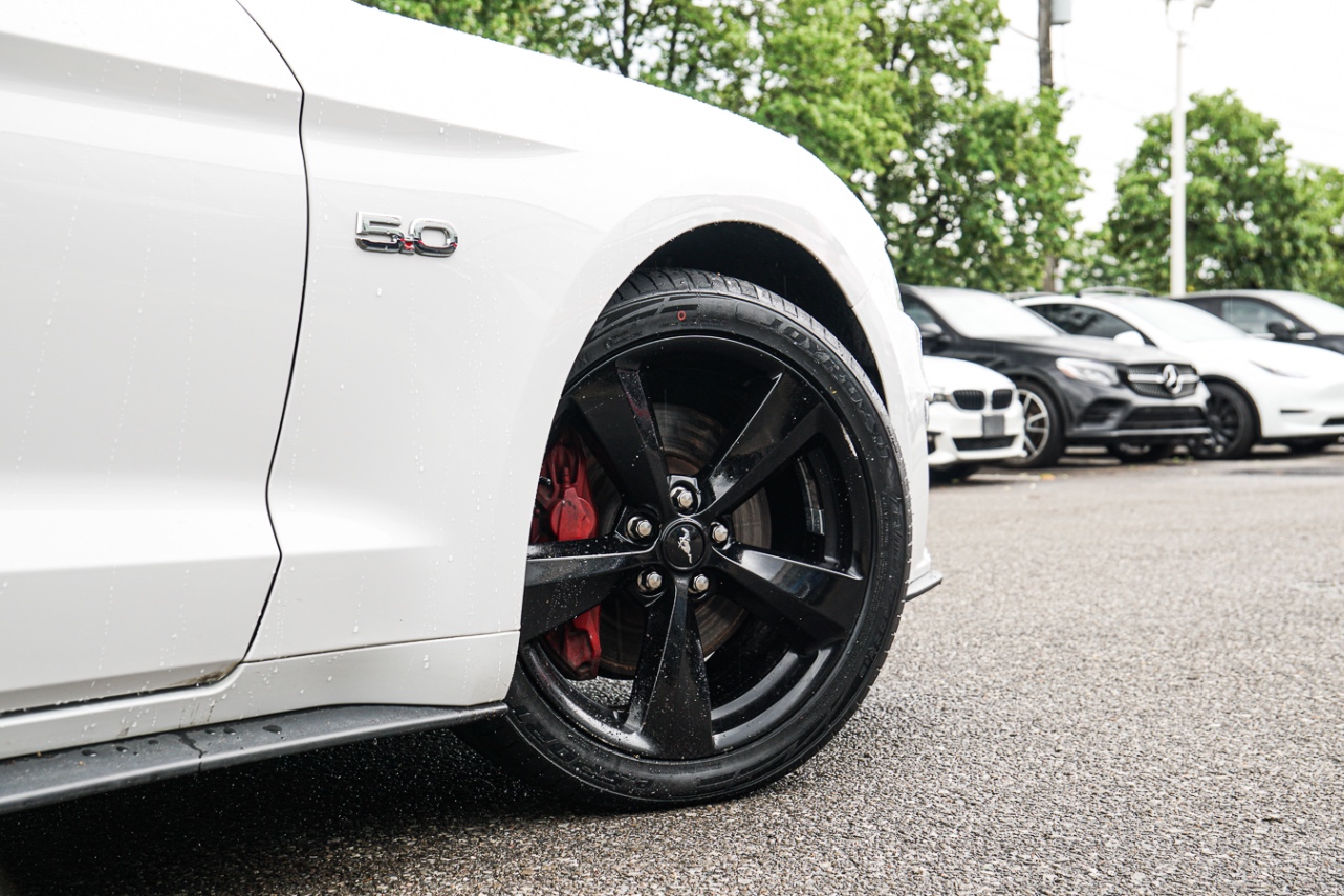 /ontarioqualitymotorsetobicoke/2021-Ford-Mustang-6465558861758482.jpg