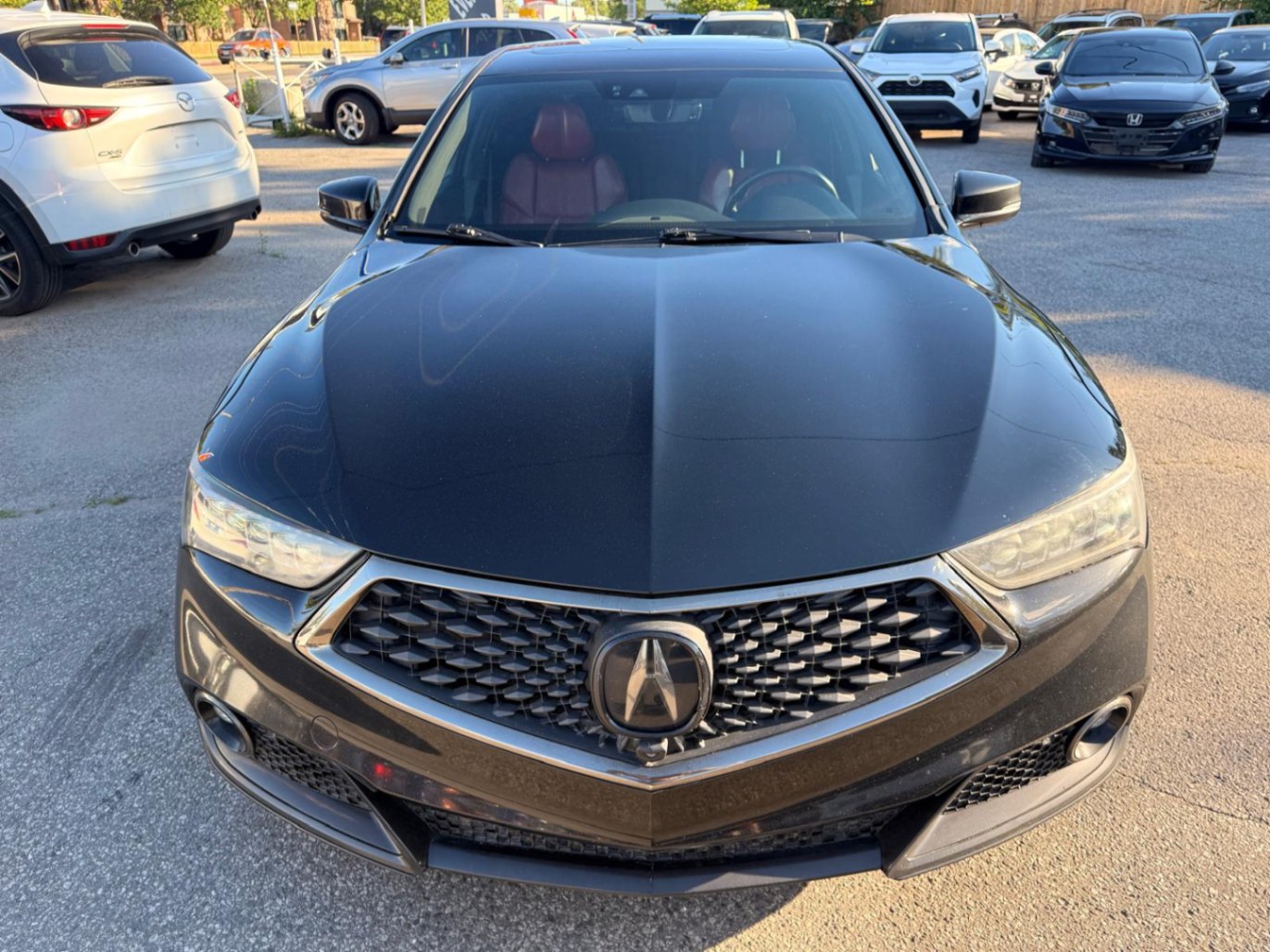 /ontarioqualitymotorsltd/2019-Acura-TLX-5088376307196436.jpg