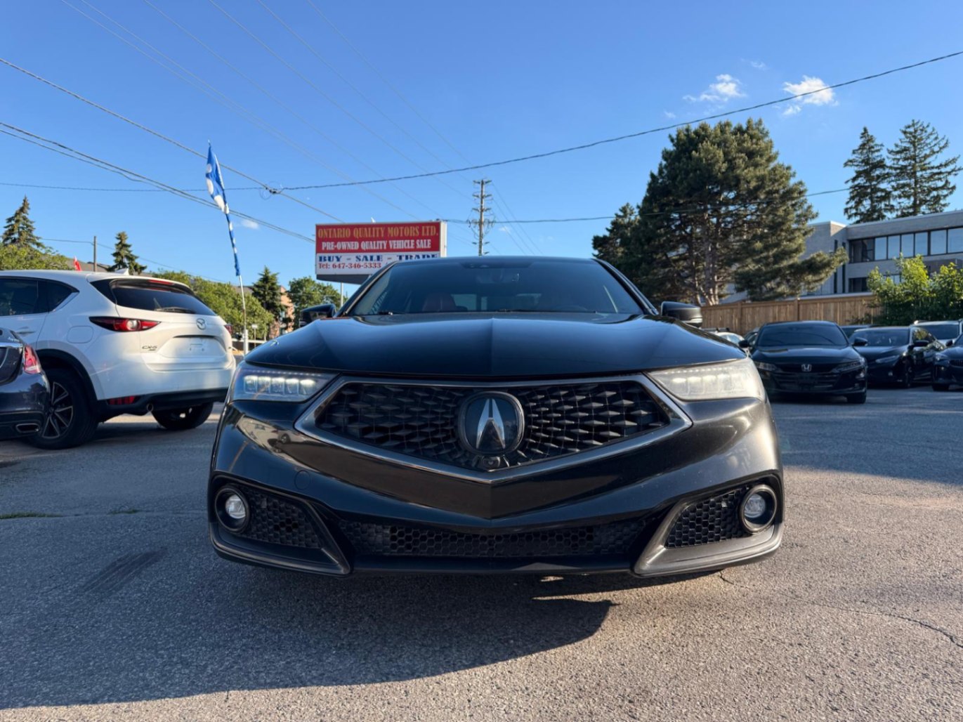 /ontarioqualitymotorsltd/2019-Acura-TLX-9722914333735624.jpg