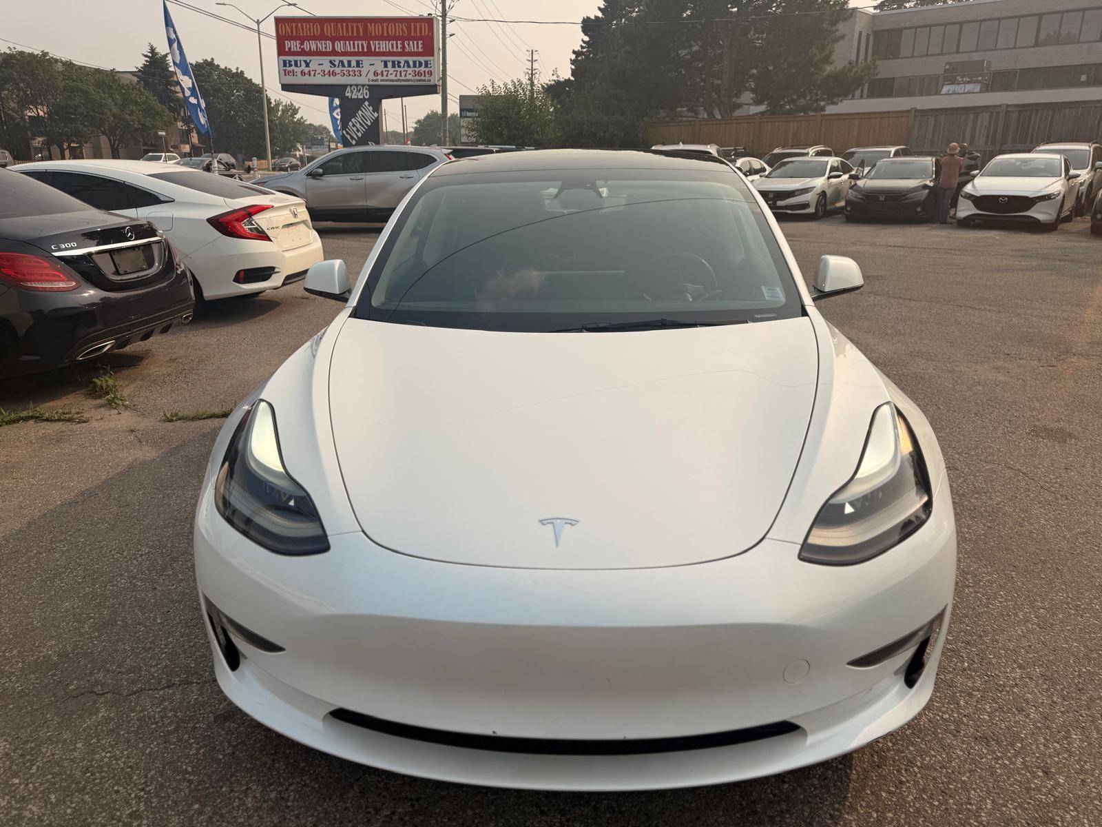 /ontarioqualitymotorsltd/2023-Tesla-Model3-7075567188744032.jpg