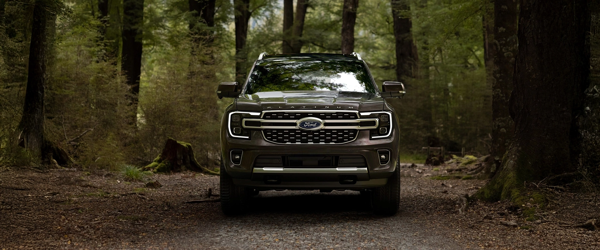 SUVs on scenic terrain