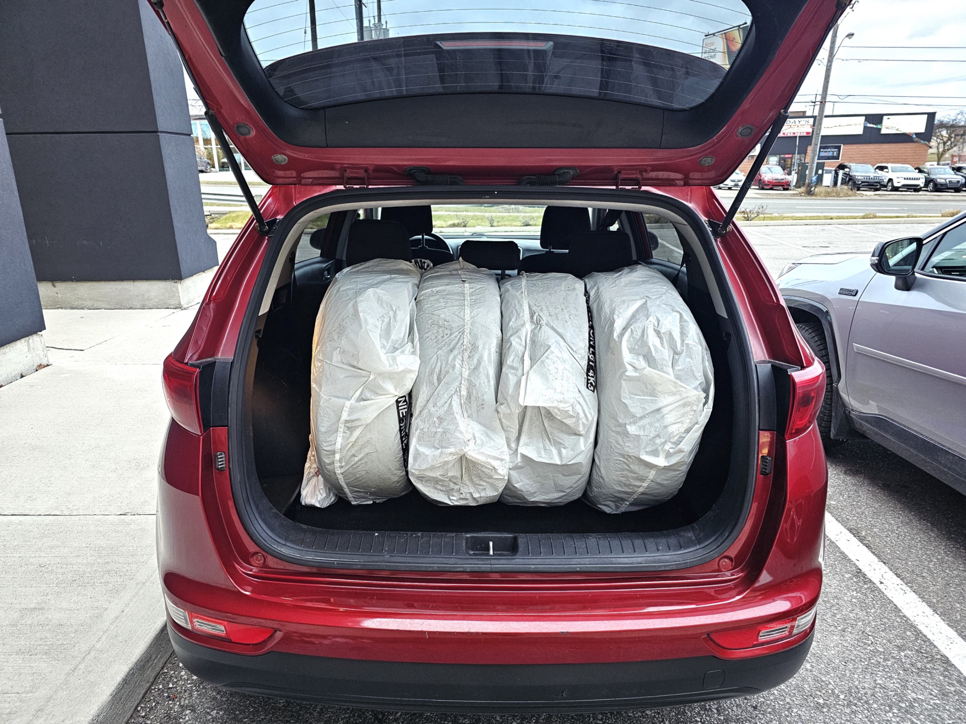 /todaysautosalesandservice/2019-Kia-Sportage-6187709892618047.jpg